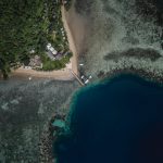 Gravida commodo orci molestie cras hac porttitor purus ut